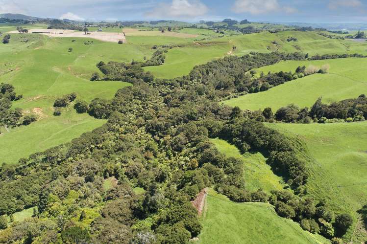 357 Onewhero-Tuakau Bridge Road Onewhero_12