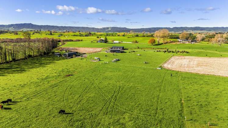 LOT 2/194 Lake Road Okoroire_10