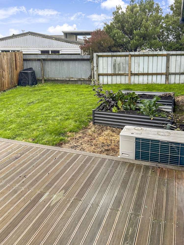 7 Walton Street Bulls_9