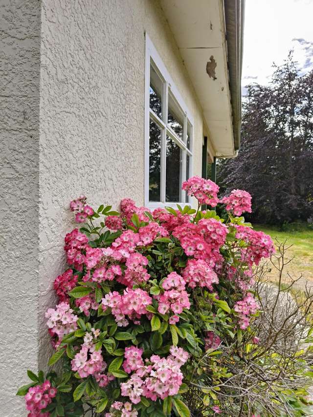 16 Whitehaven Street Lawrence_1