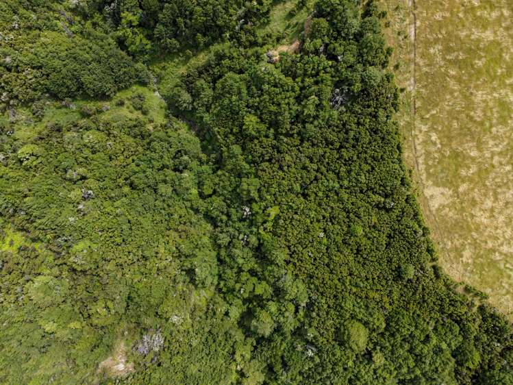 32 and 33 Charwell Terrace Mt Lyford Hurunui Rural Property For