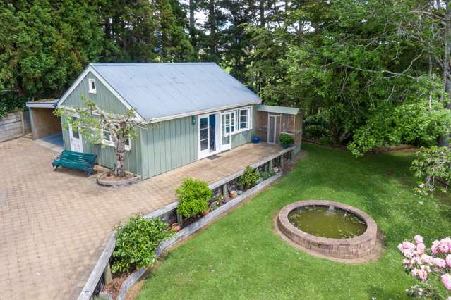 48 Hollis Road Waikino_3