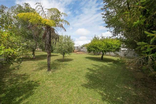 31 Barbary Avenue Kelston_3