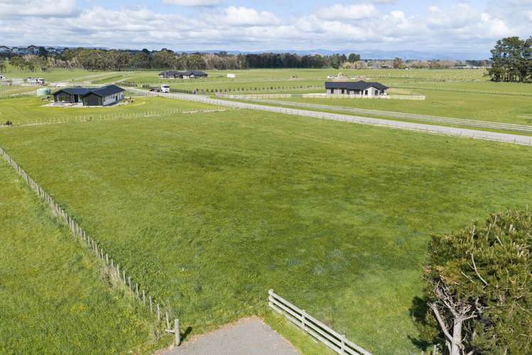 434 Taonui Road Aorangi_7