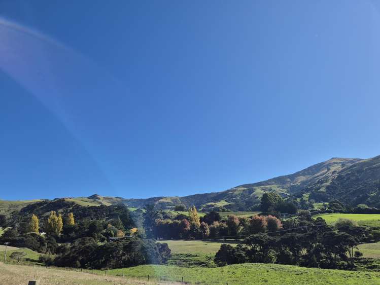 282 Wainui Main Road French Farm_17