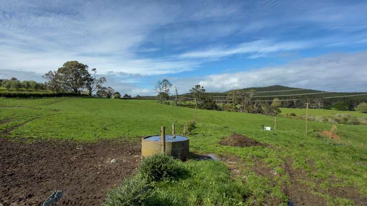 8 Mackay Road Maramarua Forest_10