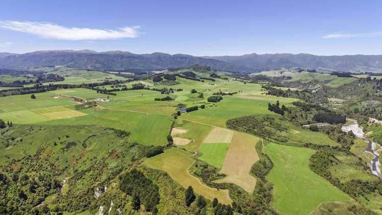 519 Main South Road Rangiwahia_19