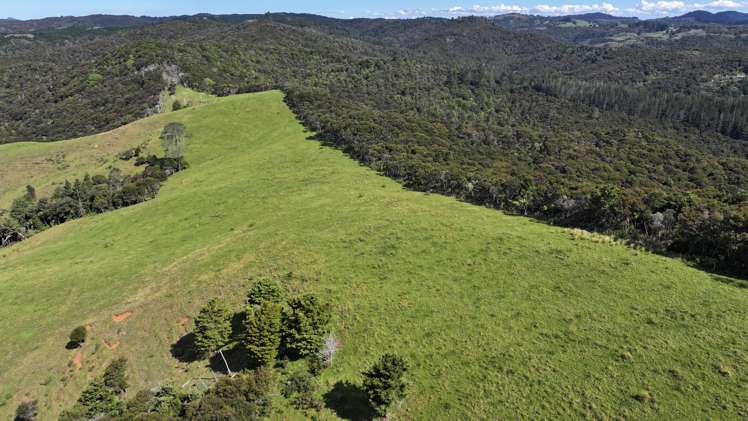 140 Kenana Road Mangonui Surrounds_37