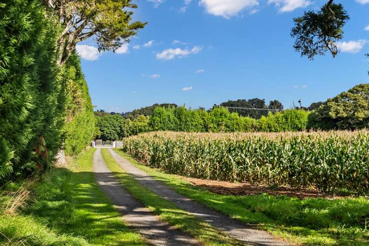397 Three Mile Bush Road Te Kamo_49