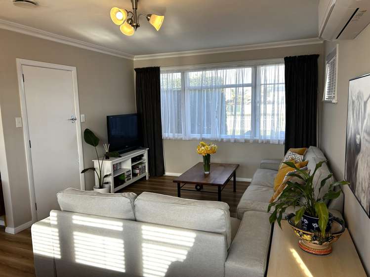 7 Roosevelt Street Levin_5