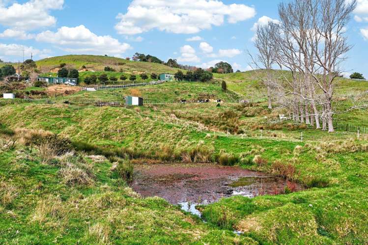 63 Porter Road Paparoa_40