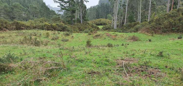 747c No 4 Road Te Puke_4