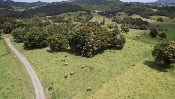 1387 State Highway 1 Okaihau_6