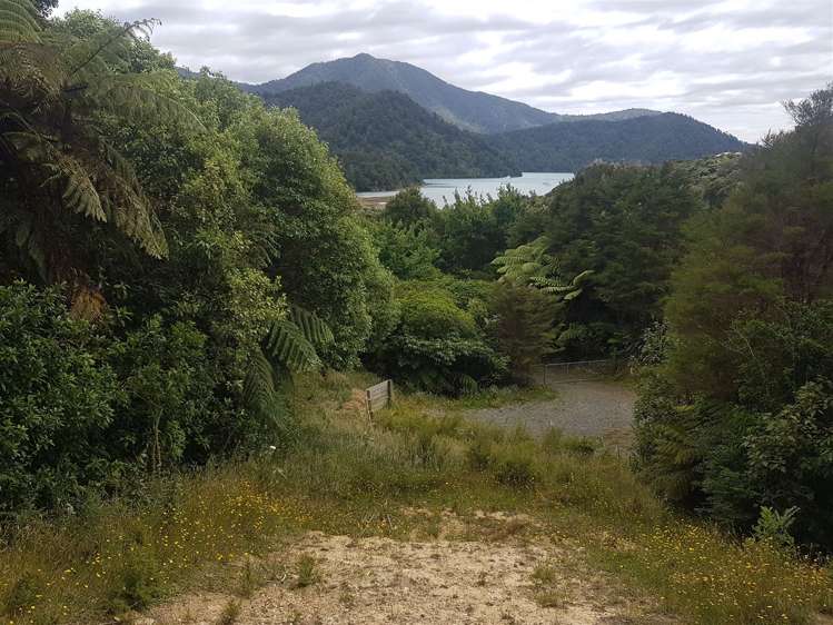 11 Matai Street Duncan Bay_15