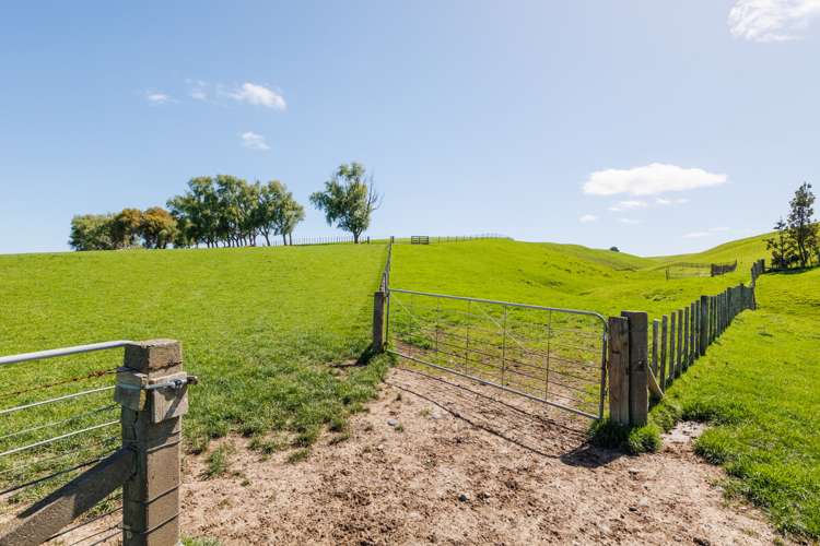 465 Makino Road Feilding_11