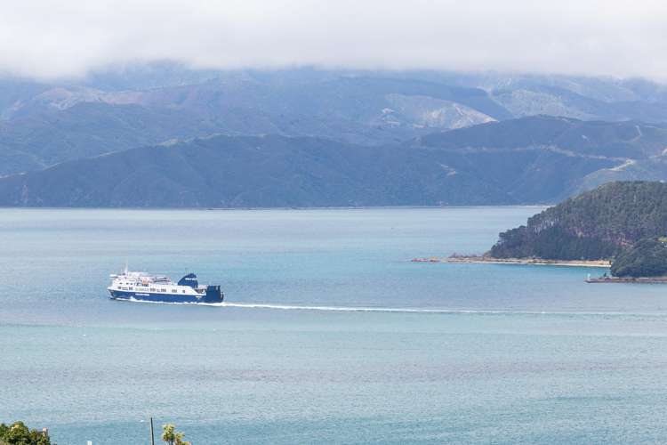 77A Nicholson Road Khandallah_34