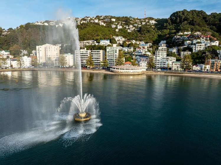 4 Baring Street Oriental Bay_25