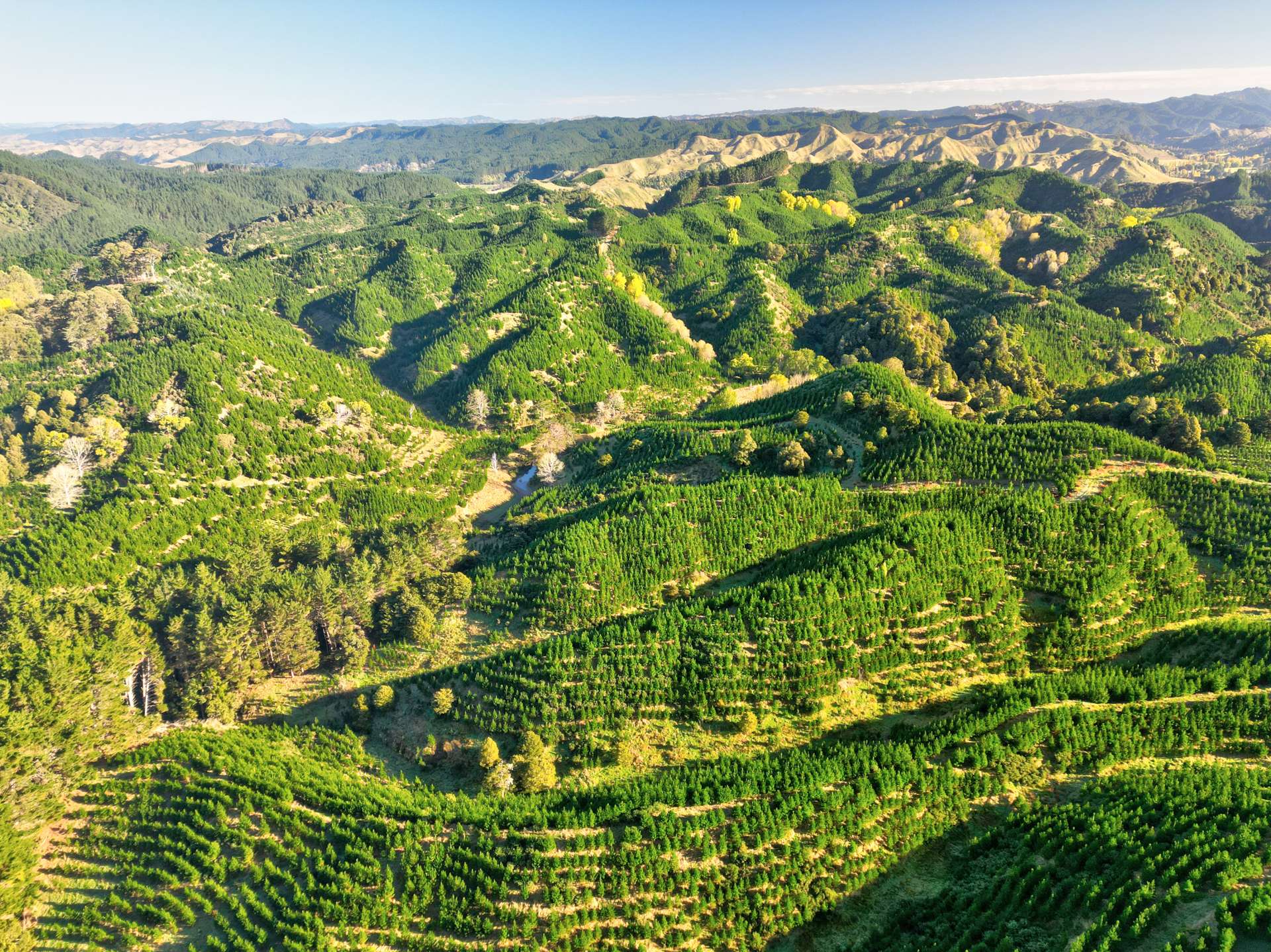 Ongo Road Hunterville Rangitikei Rural Property For Sale One Roof