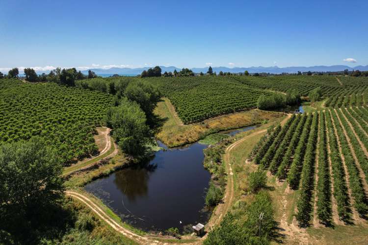 5 Lindup Road Lower Moutere_6