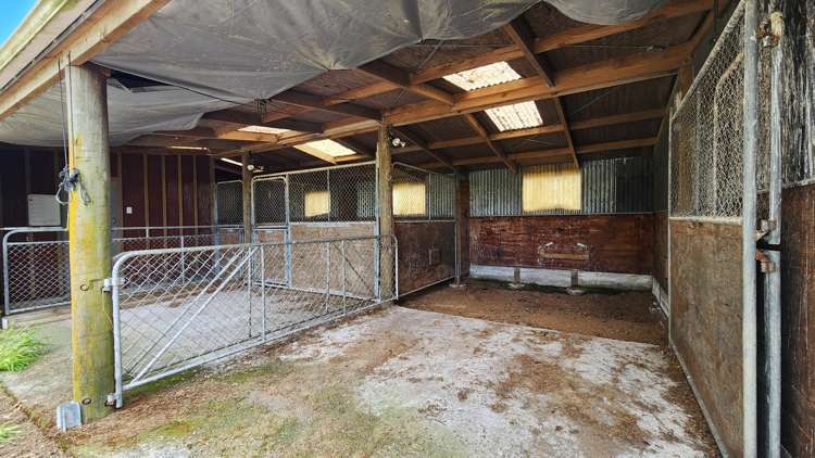 144 King Road Inglewood_23