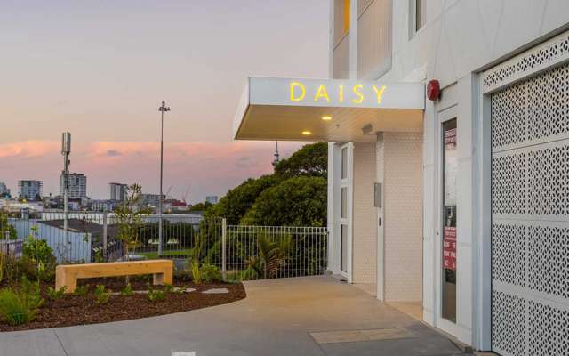 Sunset apartment in Mt Eden