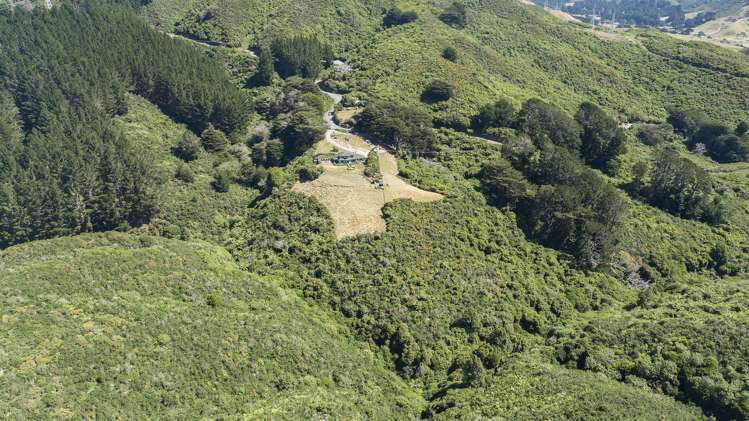 174 Makara Road Makara_45