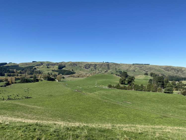 48 Heathfield Road Waipara_21