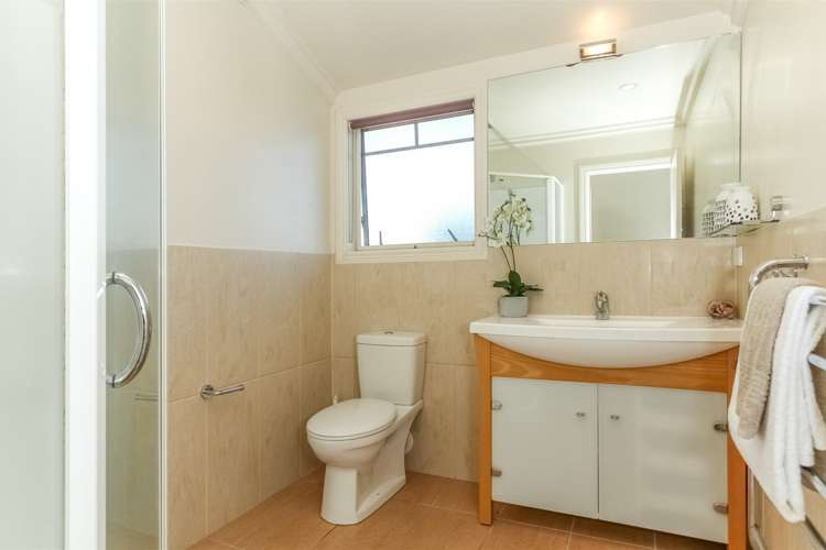 43 Pah Road Epsom_13