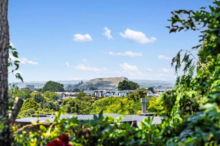 3 Ranfurly Road Epsom_6