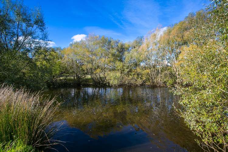 695 Outram-Mosgiel Road Mosgiel_17