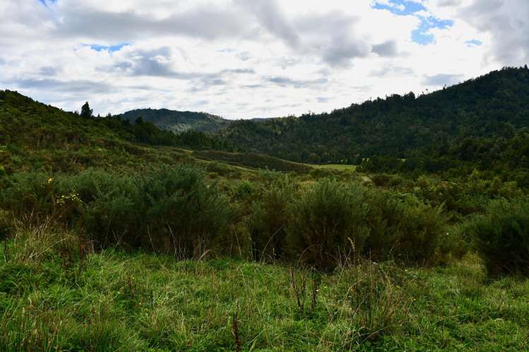 40Ha Block State Highway 67 Mokihinui_15