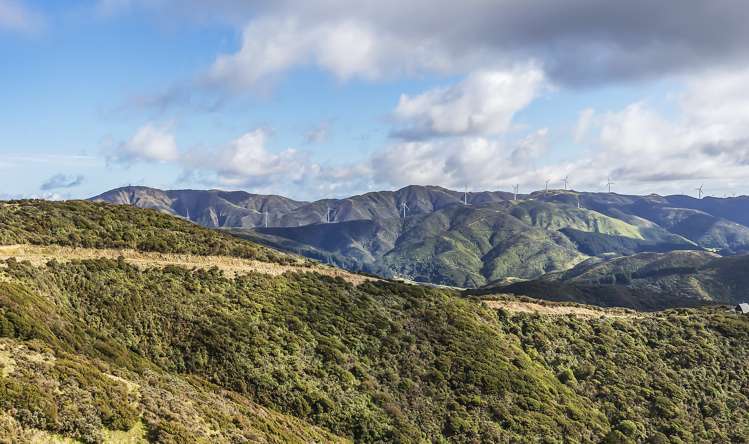 452 Southernthread Road Brooklyn_13