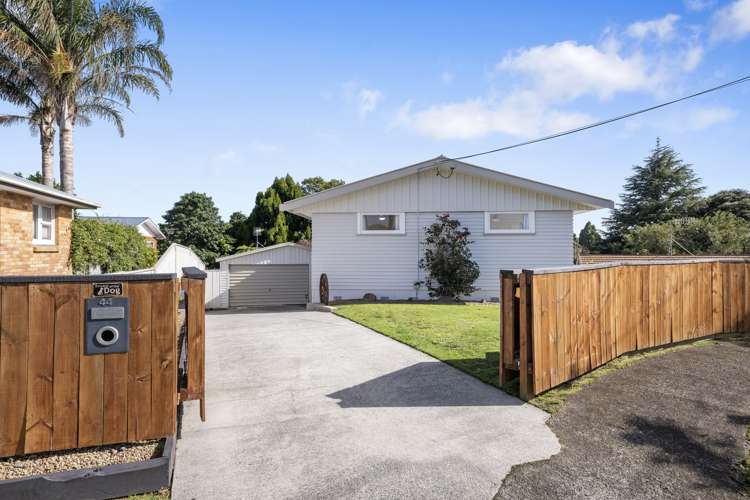 44 Manson Street Gate Pa_2