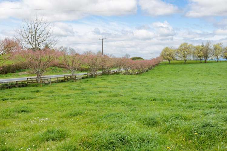 222 Gunn Road Matamata_39