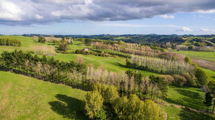 945 Waiotira Road Mangapai and Surrounds_2