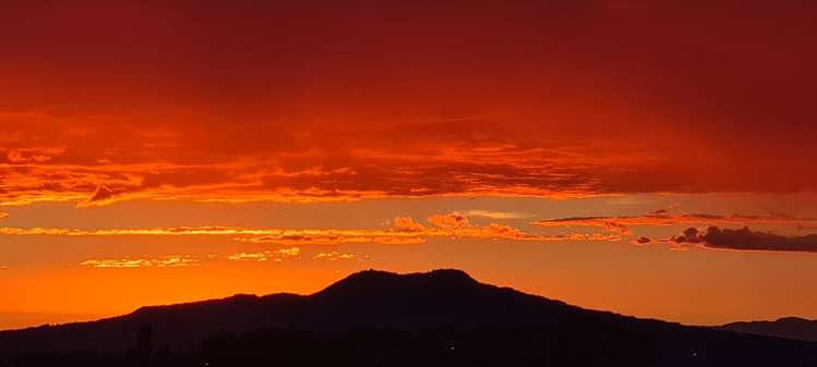 1/50 Manuka Road Glenfield_9