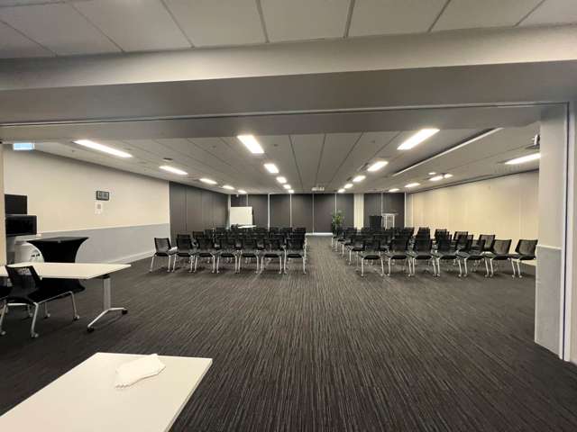 12-14 Nicholls Lane Parnell_2