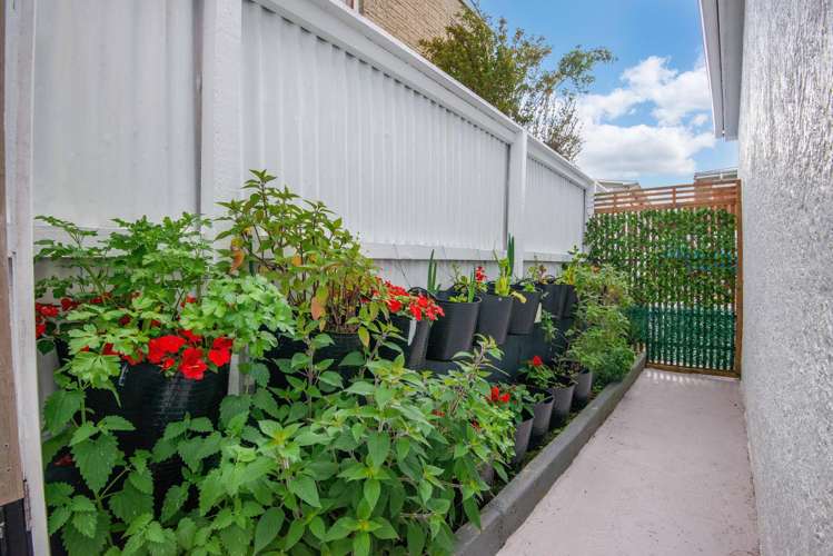 6 McCrea Street Mornington_18