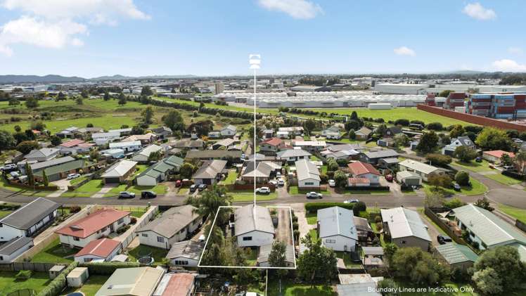 9 Metro Avenue Nawton_13