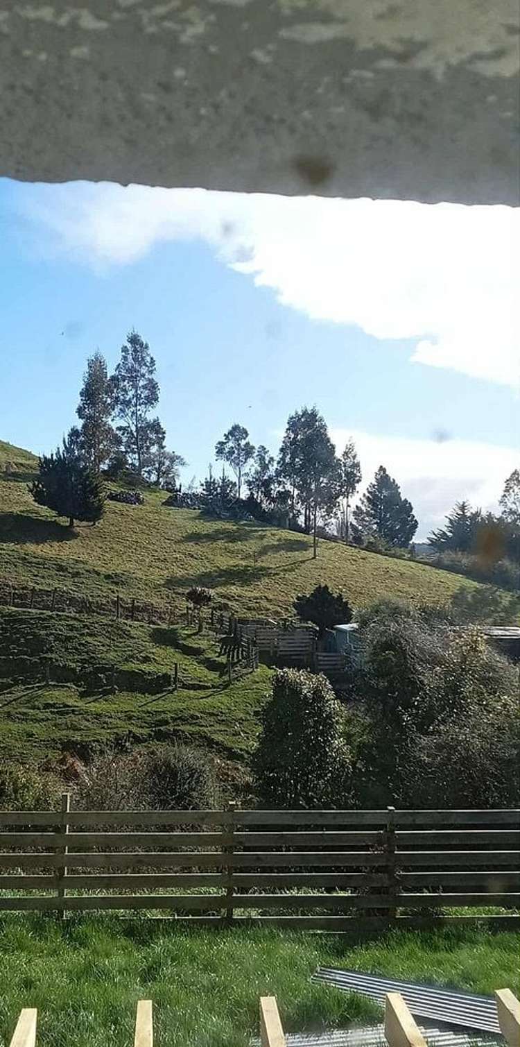 67 Koremata Street Green Island_9