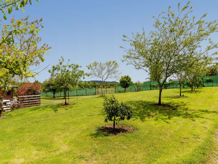 8 Shaw Road Te Ranga_7