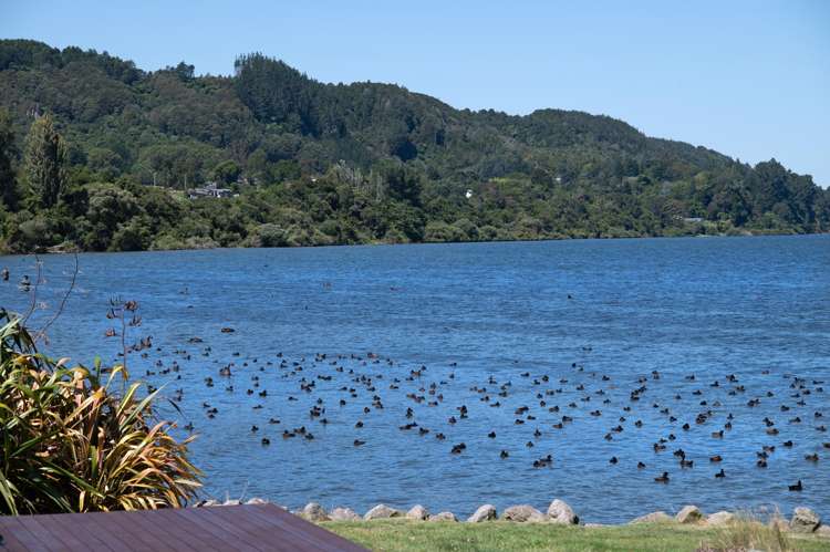 802 Hamurana Road Hamurana_59