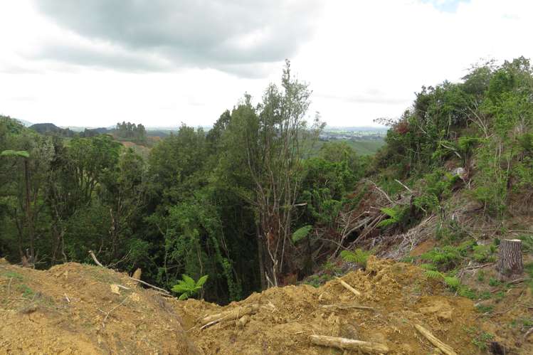 Waitomo Valley Road Otorohanga_7