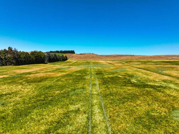 2996 Old Coach Road Clutha_13