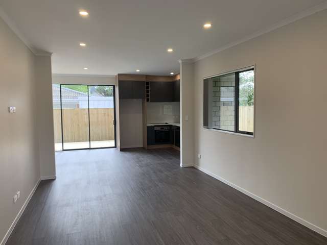 217B St George Street Papatoetoe_3