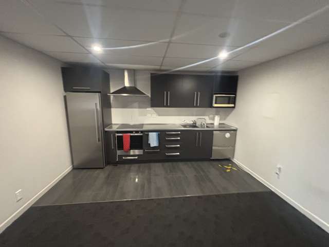 290 Oxford Street Levin_3