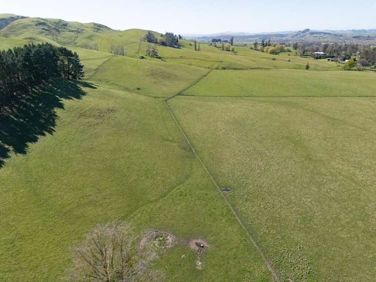 231 Lindsay Road Waipukurau_8