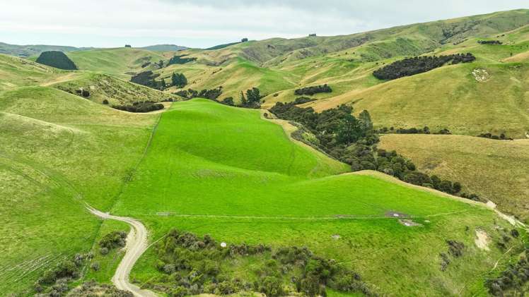 48 Heathfield Road Greta Valley_5