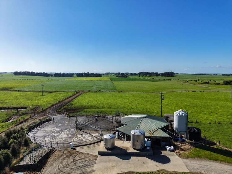 81 Tapper Road Mokotua_10