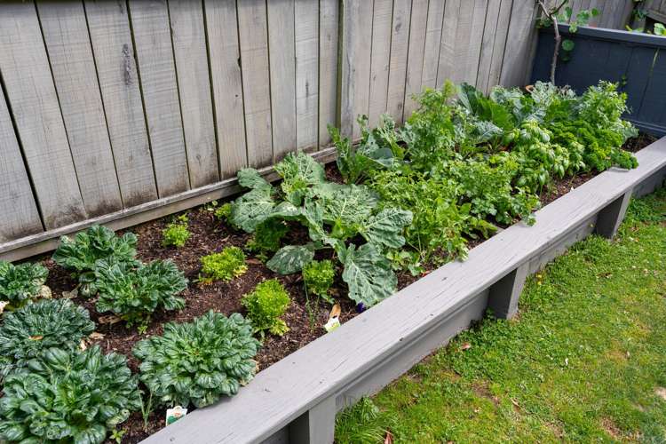 11 Sedgley Grove Churton Park_23